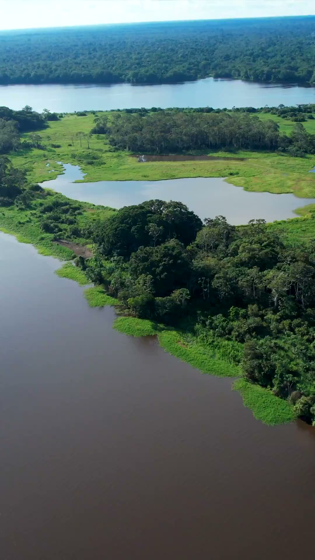 Amazonas Colombia